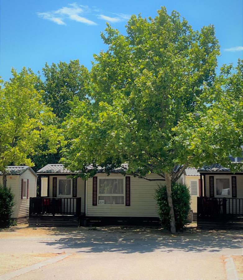 Bungalows Zaragoza Camping Camping Saragosse