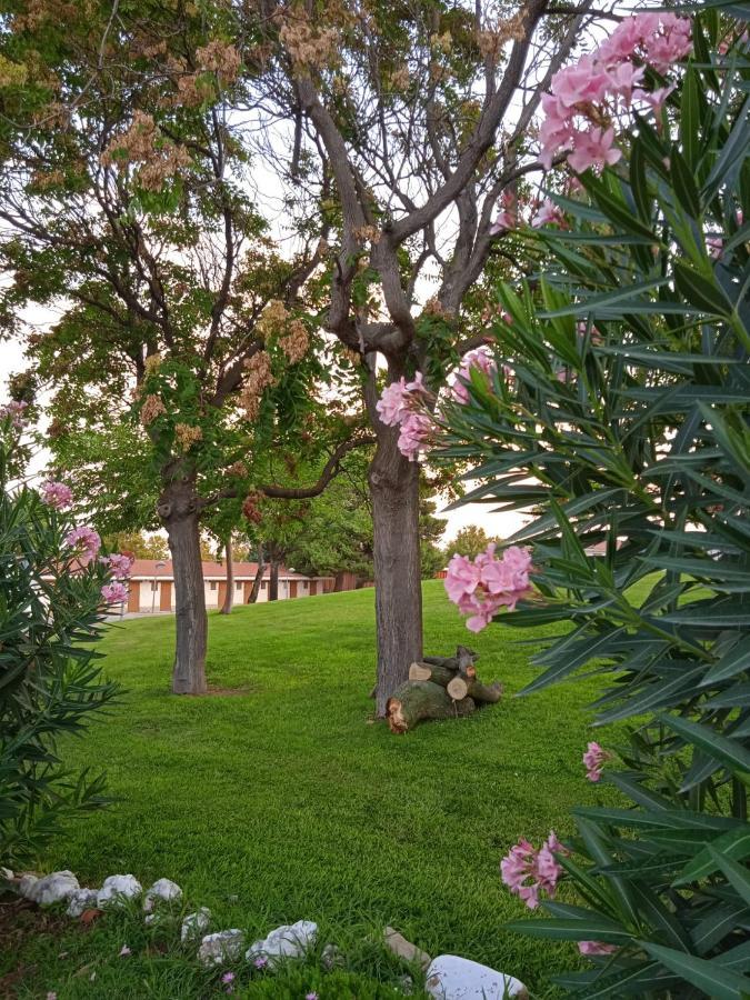Camping Bungalows Zaragoza Camping *