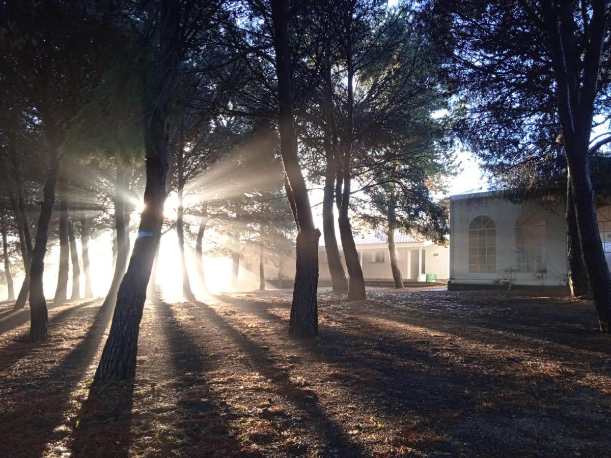 Bungalows Zaragoza Camping Parque de Campismo Saragoça